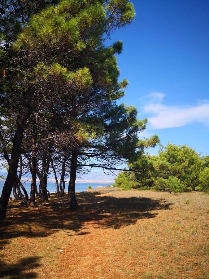 Apartmani Novak - Vir Bagian luar foto