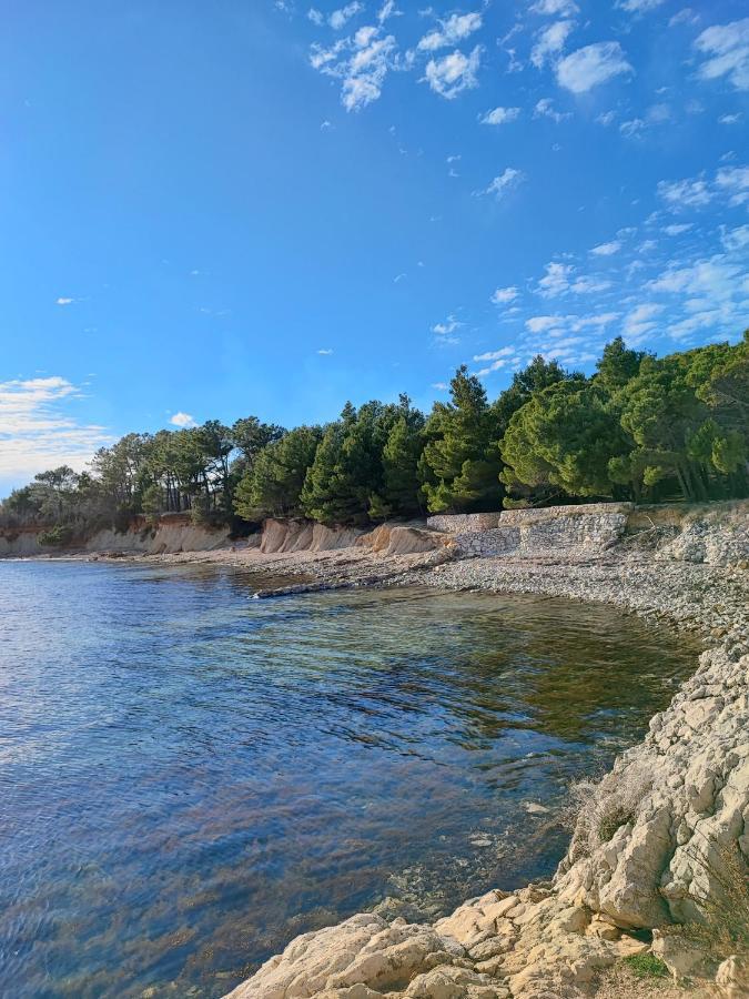 Apartmani Novak - Vir Bagian luar foto